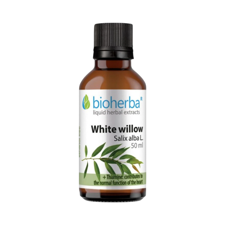 Obrázek Vrba bílá – tinktura kapky – 50 ml – Bioherba
