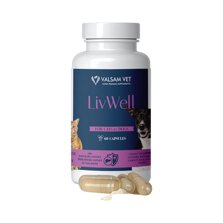 Obrázek LIVWELL - podpora jater a metabolismu pro psy a kočky 60 kapslí - Valsam Vet