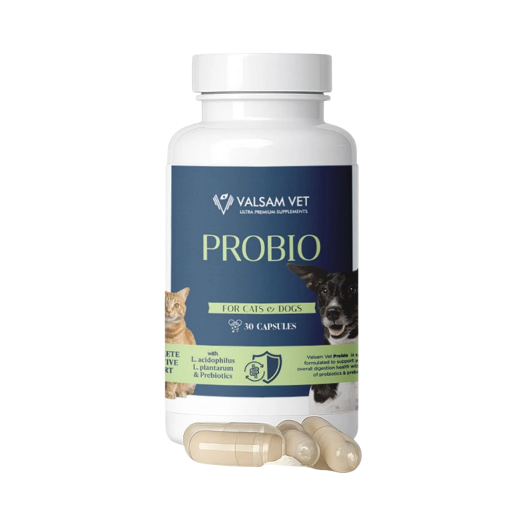 Obrázek PROBIO - probiotika a prebiotika pro psy a kočky 30 kapslí - Valsam Vet
