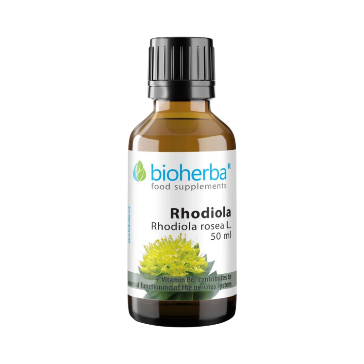 Obrázek Rhodiola kapky – tinktura – 50 ml – Bioherba