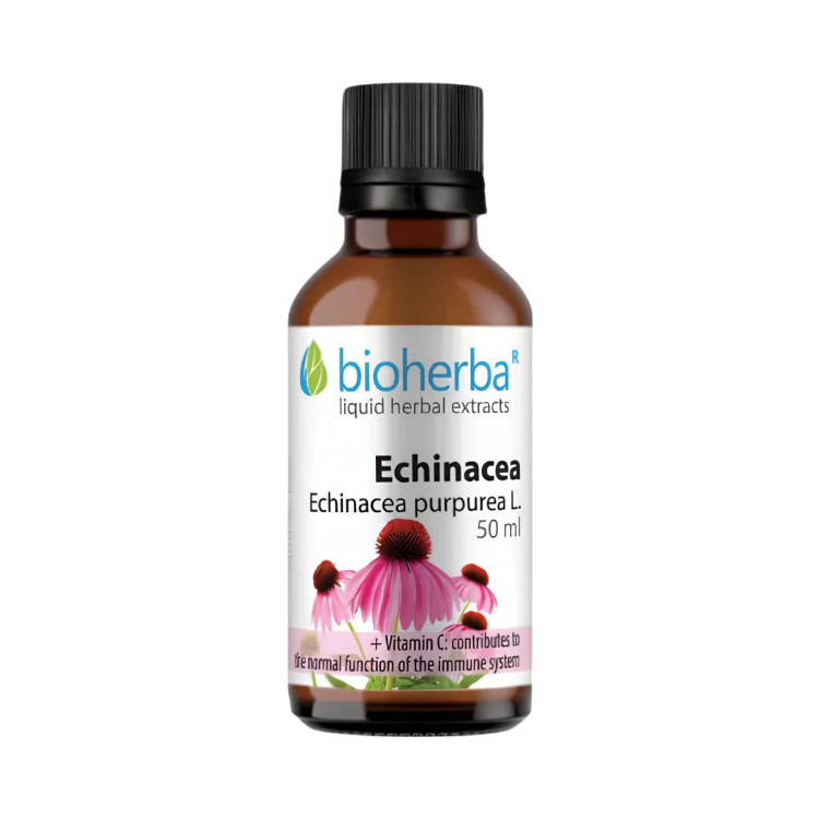 Obrázek Echinacea kapky – tinktura – 50 ml – Bioherba