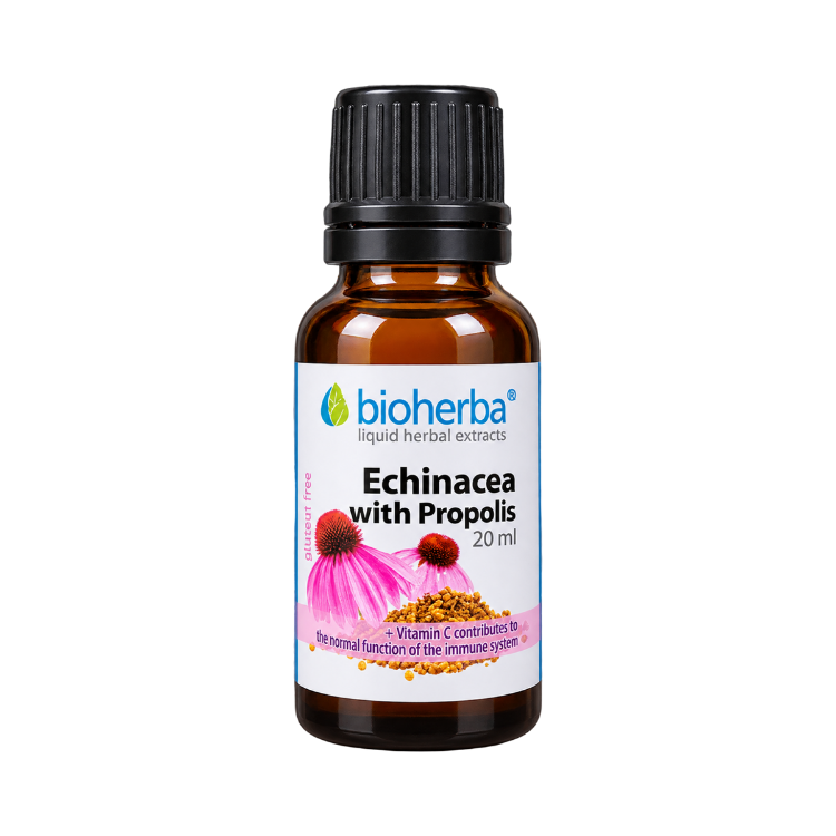 Obrázek Echinacea s propolisem kapky – tinktura – 20 ml – Bioherba
