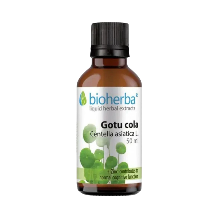 Obrázek Gotu Kola kapky – tinktura – 50 ml – Bioherba