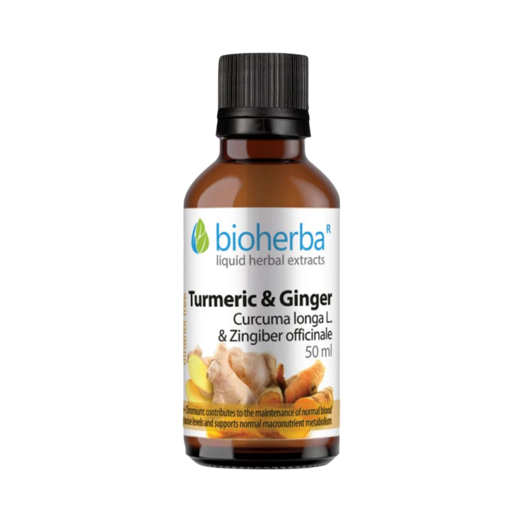 Obrázek Kurkuma & zázvor kapky – tinktura – 50 ml – Bioherba