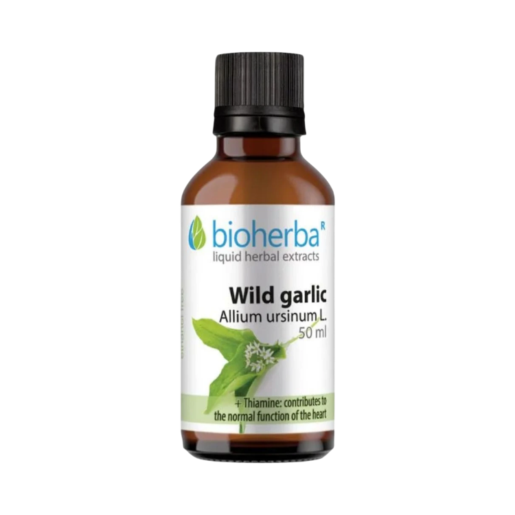 Obrázek Medvědí česnek kapky – tinktura – 50 ml – Bioherba