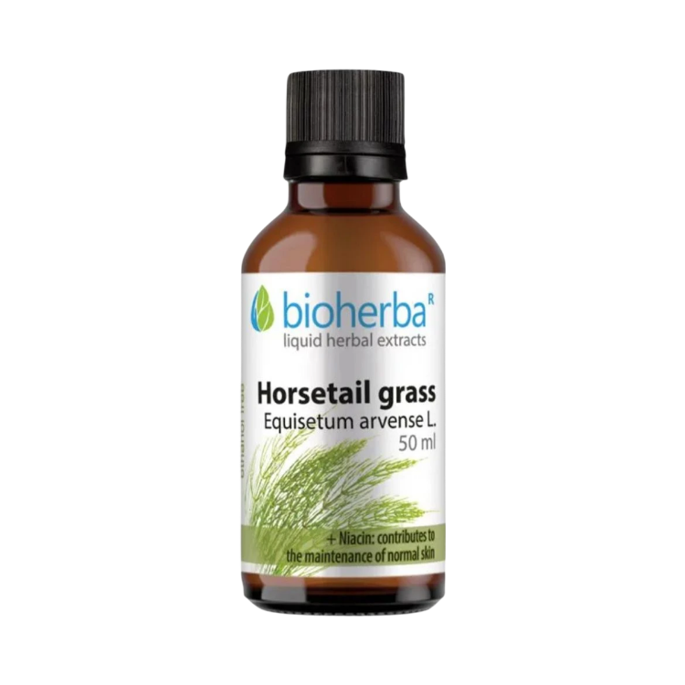 Obrázek Přeslička (Horsetail) kapky – tinktura – 50 ml – Bioherba