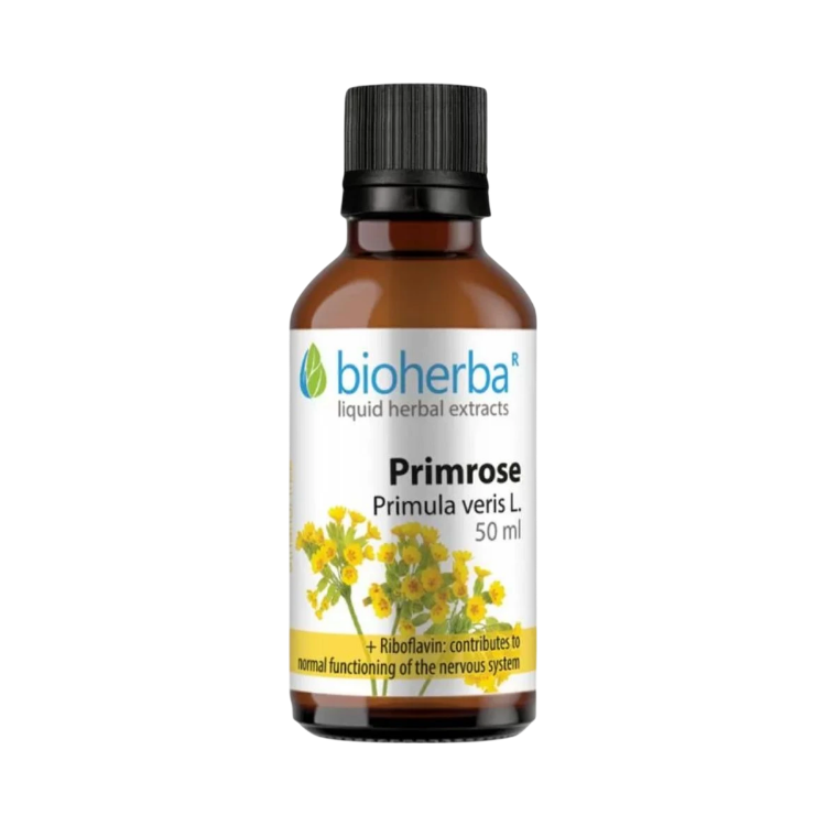 Obrázek Prvosenka (Primula veris) kapky – tinktura – 50 ml – Bioherba