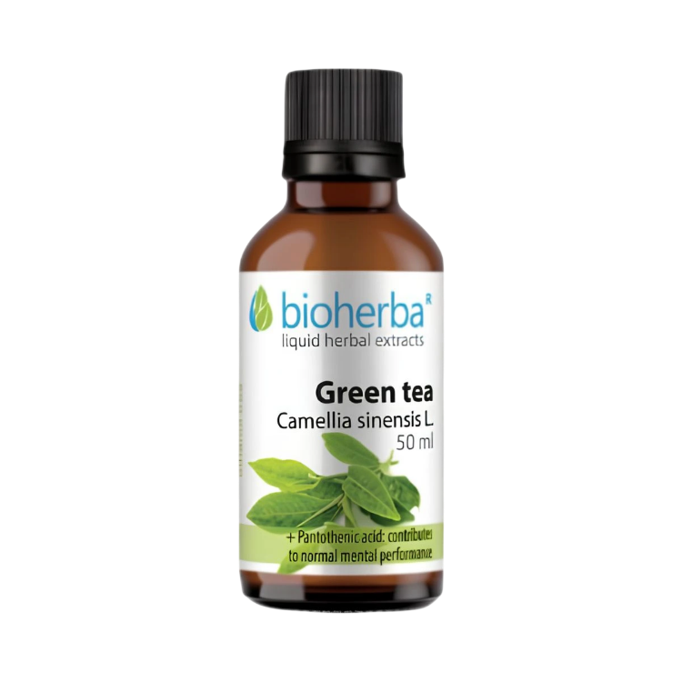 Obrázek Zelený čaj (Camellia sinensis) kapky – tinktura – 50 ml – Bioherba
