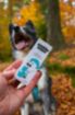 Obrázek Svěží dech DOGS – Shroom Buddy
