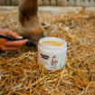 Obrázek Balzám na kopyta HORSES – Shroom Buddy