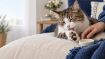 Obrázek Balzám na tlapky CATS – Shroom Buddy