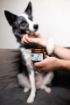 Obrázek Balzám na tlapky DOGS – Shroom Buddy