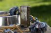 Obrázek BARD s.r.o. Ecosin 10 × 3 g – BARD