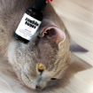 Obrázek Kapky do uší CATS – Shroom Buddy