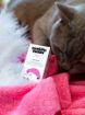 Obrázek Kapky do uší CATS – Shroom Buddy